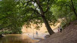 Een bewolkte dag maar aangenaam weer voor een boswandeling