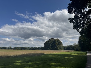 Wisselend wolkendek boven Amelisweerd
