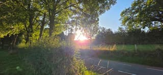 Zonnestralen door de Zuid Limburgse bomen