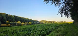 Strak blauwe lucht en zon in de Zuid Limburgse heuvels 