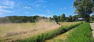 Land is erg droog bij het dorsen van gras in Bergen NH