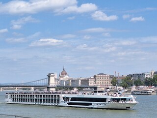 Zomer aan de Donau 