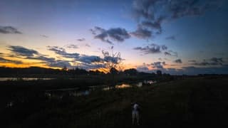 Goedemorgen Nederland 