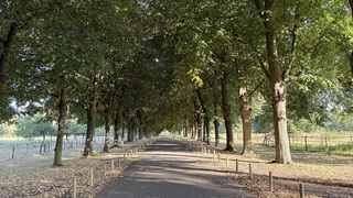 Oprijlaan kasteel Pietersheim