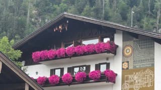 Bloemenpracht in Reit im Winkl