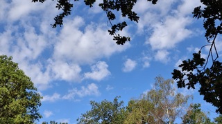 Mooie lucht met veel zon