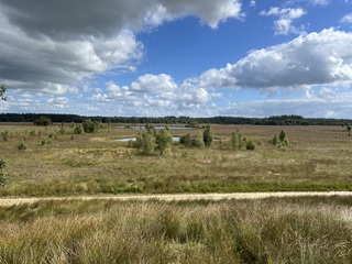 Bewolking en zon