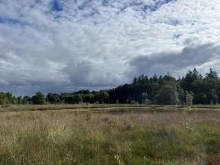 Schapenwolkjes en dreigende wolken 