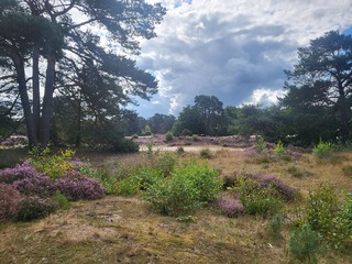 Pink Ribbon Soester Wandelweekend