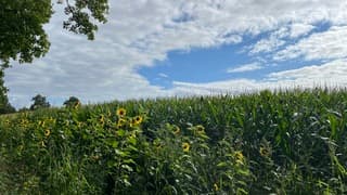 De ochtend begon met opklaringen.