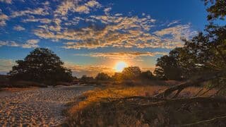 Zonsopkomst op het Drouwenerzand