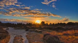 Zonsopkomst op het Drouwenerzand