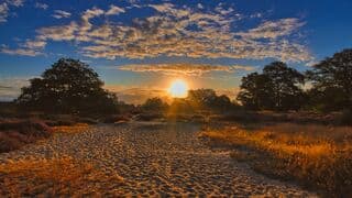 Zonsopkomst op het Drouwenerzand