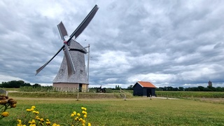Bewolkt 