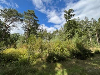 Echtenerbos / Koekangerveld 
