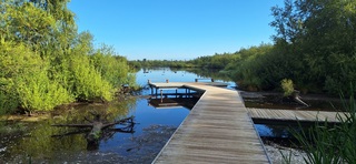 Zonnige zondag met strakblauwe lucht