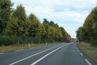 Bewolkt en gele bomen