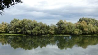 Weerspiegeling in de Maaas.