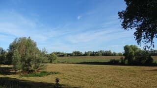 gevolgen aanhoudende droogte worden zichtbaar