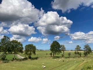 Schapen wolken 