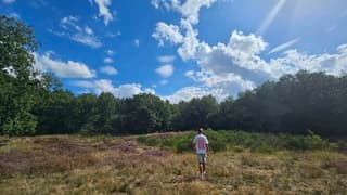 Zomerse dag met stapelwolken en af en toe flinke opklaringen 