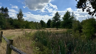 Afwisseling van zon en wolken