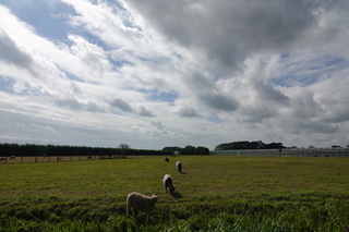 Wolken