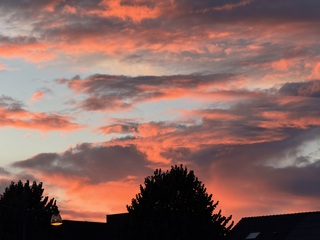 Avondrood 