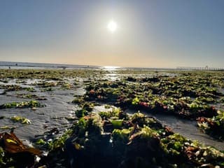 Strandwandeling Luc sur mer Normandië