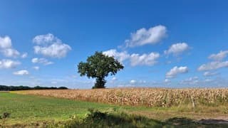 Zonnig, met wolkjes en wind, rond 24 graden