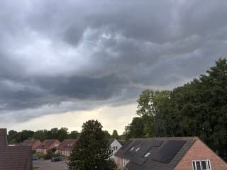 Onweersbui 