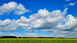 Hollandse luchten boven raapzaad