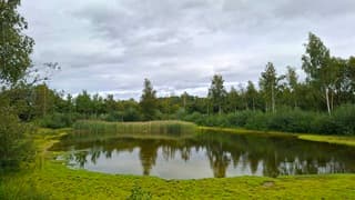 Grijze luchten in Lattrop 