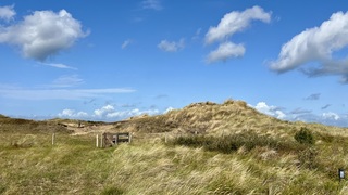Flinke wind aan de kust in natuurgebied Solleveld  