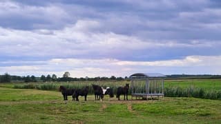 Bewolktelucht in de middaguur!