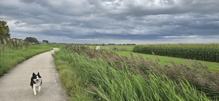 Dreigende lucht