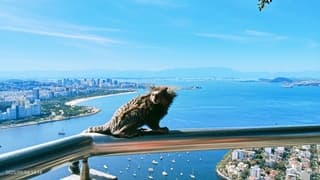 Zon en strak blauwe lucht 