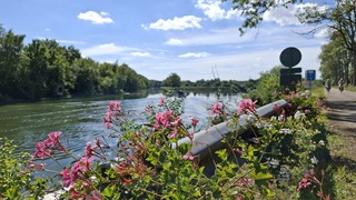 Genieten van de zon, aan de Geul in Begisch Limburg 
