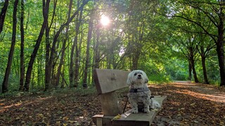 Wat een mooie zonnige start van de dag.