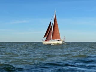 Bruine zeilen steken af tegen een strak blauwe lucht