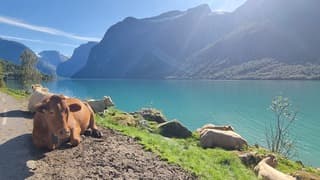 Noorwegen: lekker in de zon