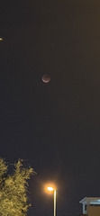 Bloedmaan Bari!