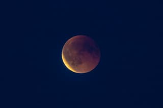 Bloedmaan