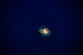 Bloedmaan