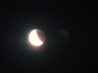 bloedmaan met een bij maan