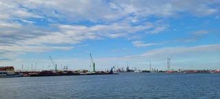 Blauwelucht 