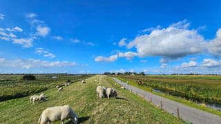 Hollandse luchten in Friesland 