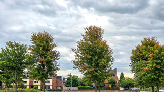 meer wind en bewolking, miezerregen