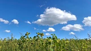 Nazomerdag met veel zon en stapelwolkjes 