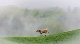 Stoos, wolken en regen 